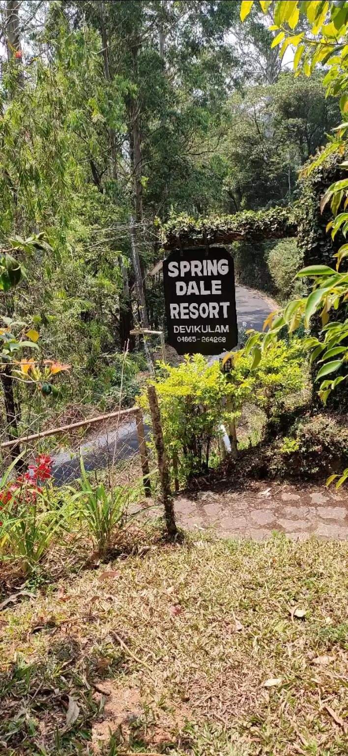 Photo of Celebrating Colors a