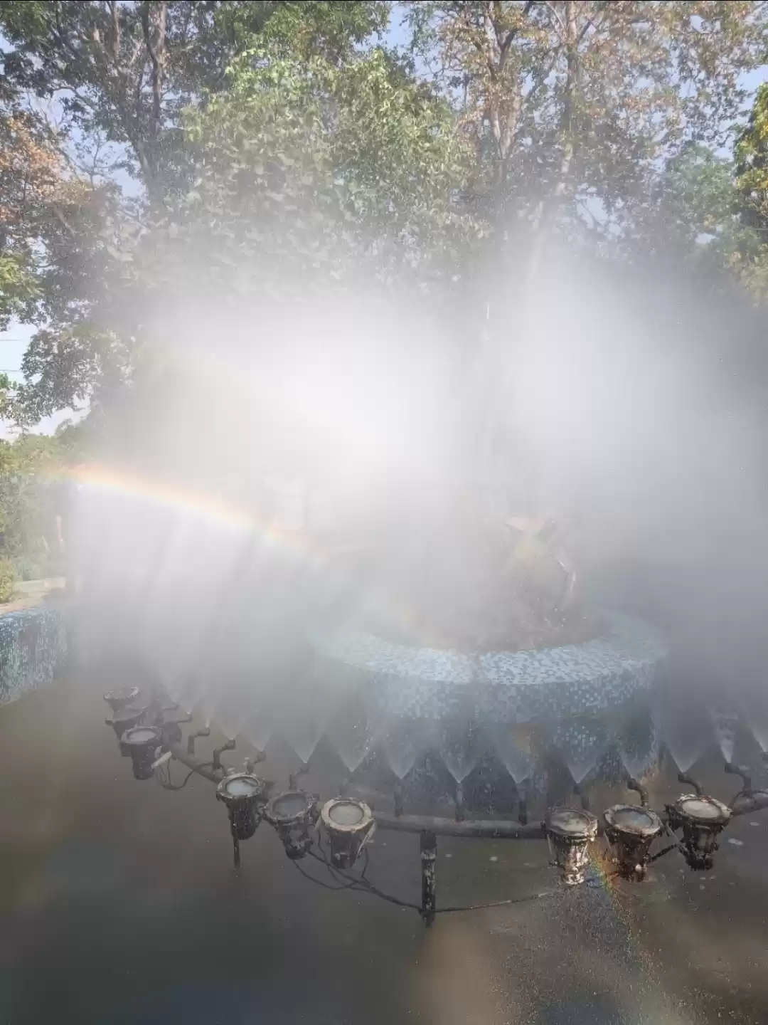 Photo of Butterfly Park, Kank