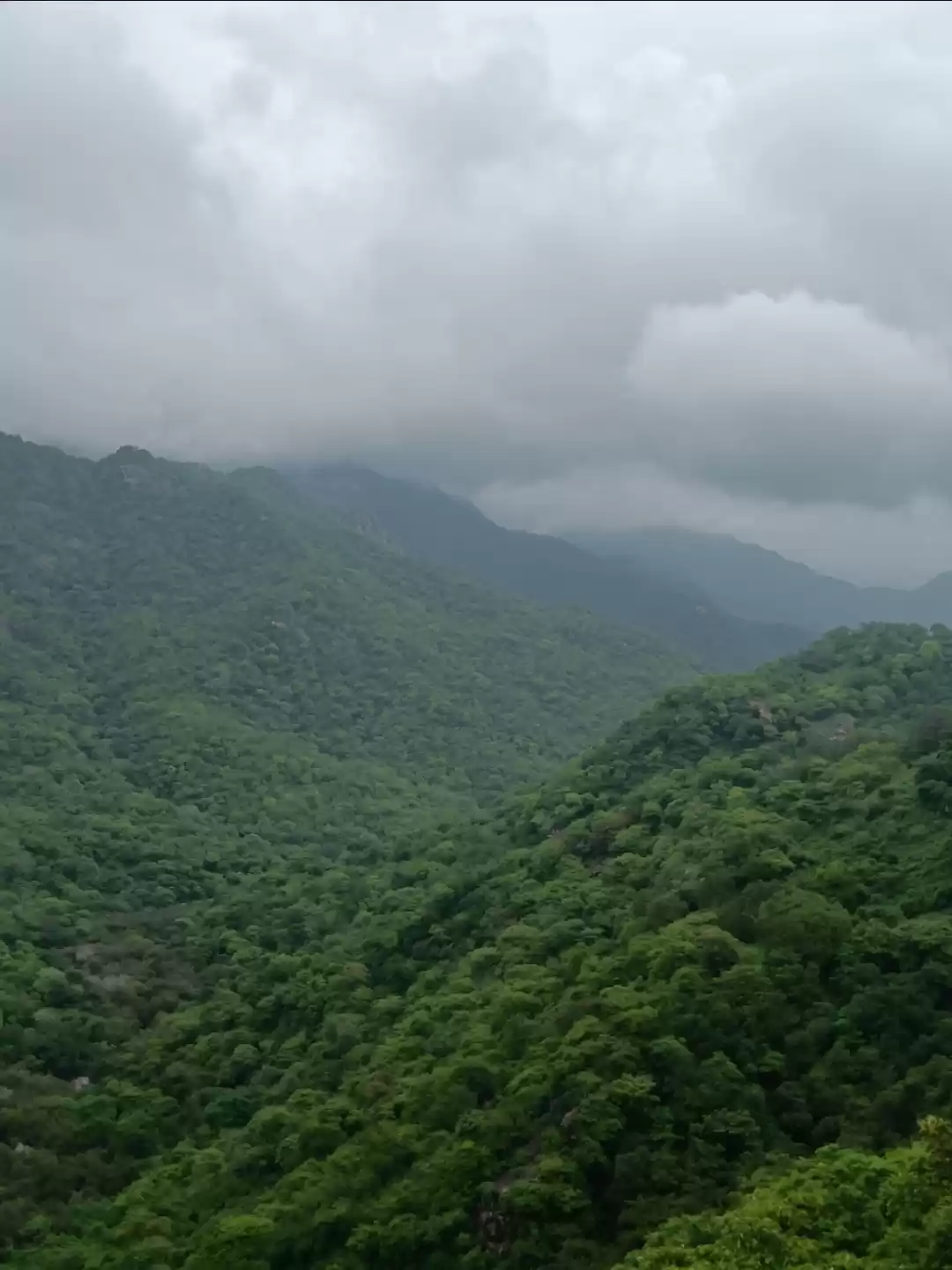 Photo of Mount Abu Wildlife s