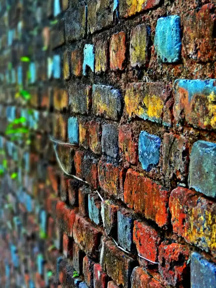 Photo of Himalayan Trail : Th