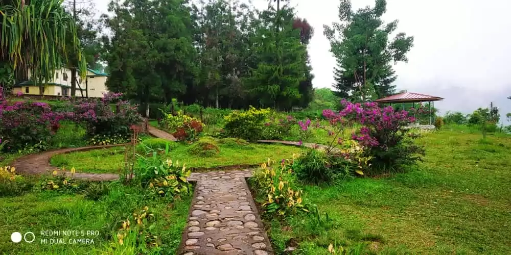 Photo of Dalgaon, west bengal