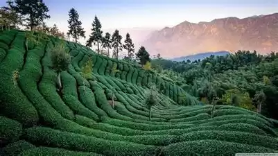 Photo of About Darjeeling