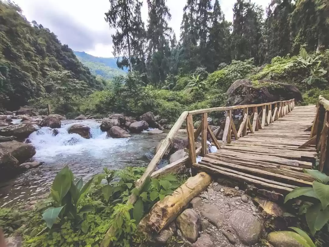 Photo of Rongo Dooars: Homest