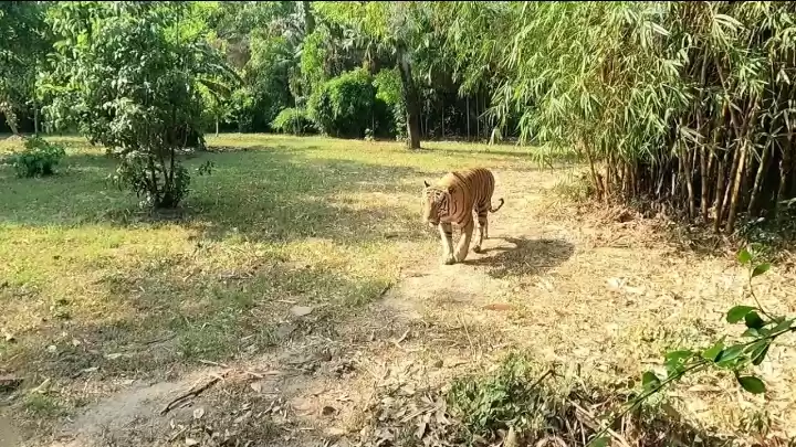 Photo of Alipore zoo
