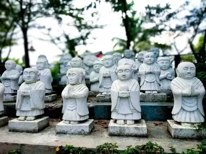 Photo of Japanese garden eco 