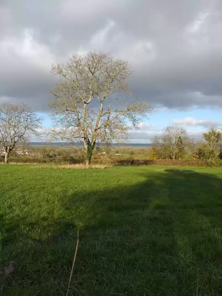 Photo of Autumn in English co