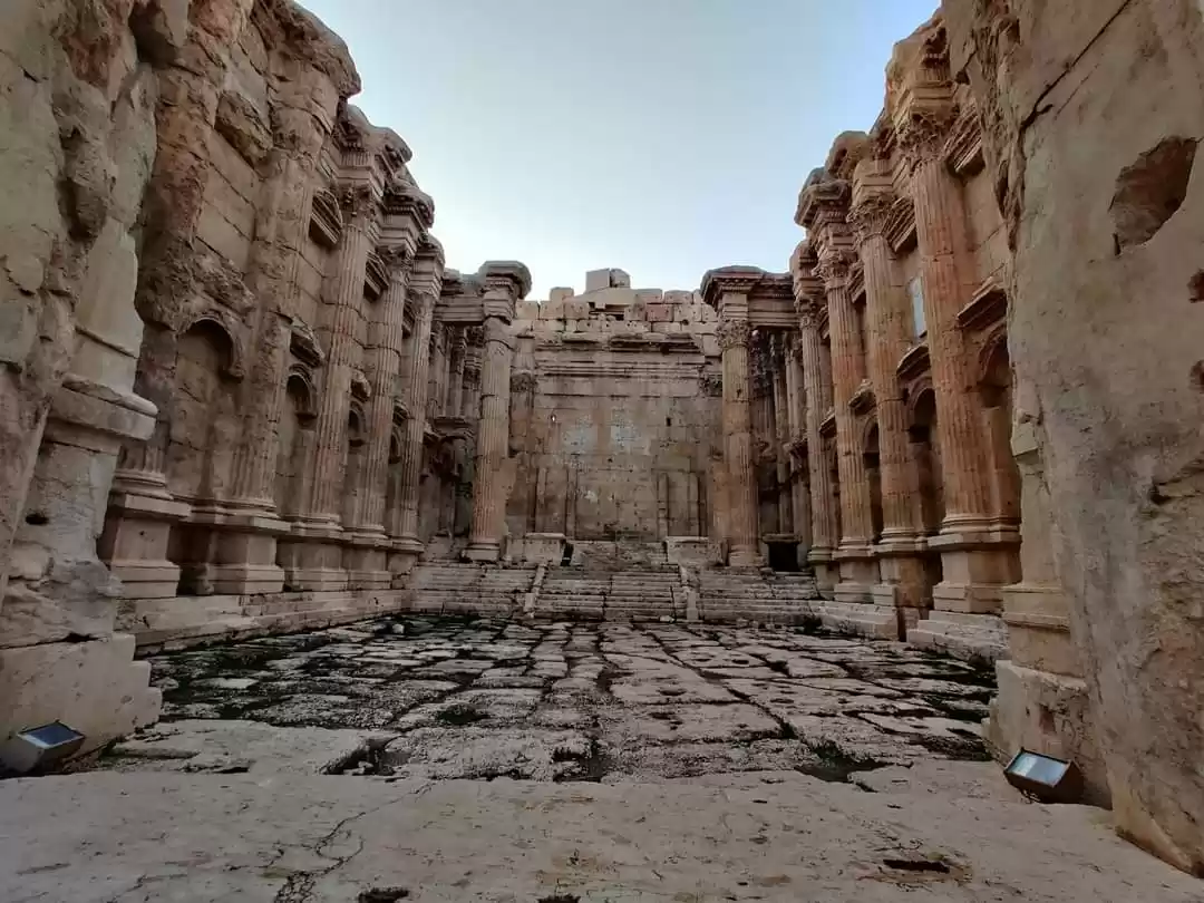 Photo of tiny but amazing his