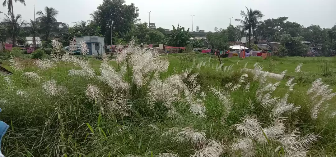 Photo of बंगाल का सबसे प्राची