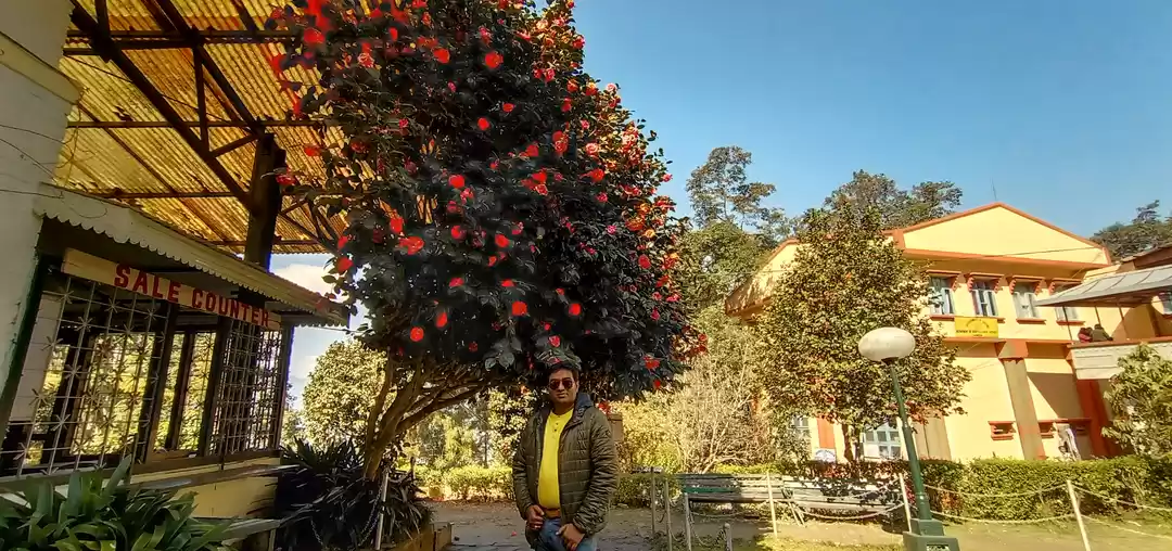 Photo of सस्ते में बर्फ से खे