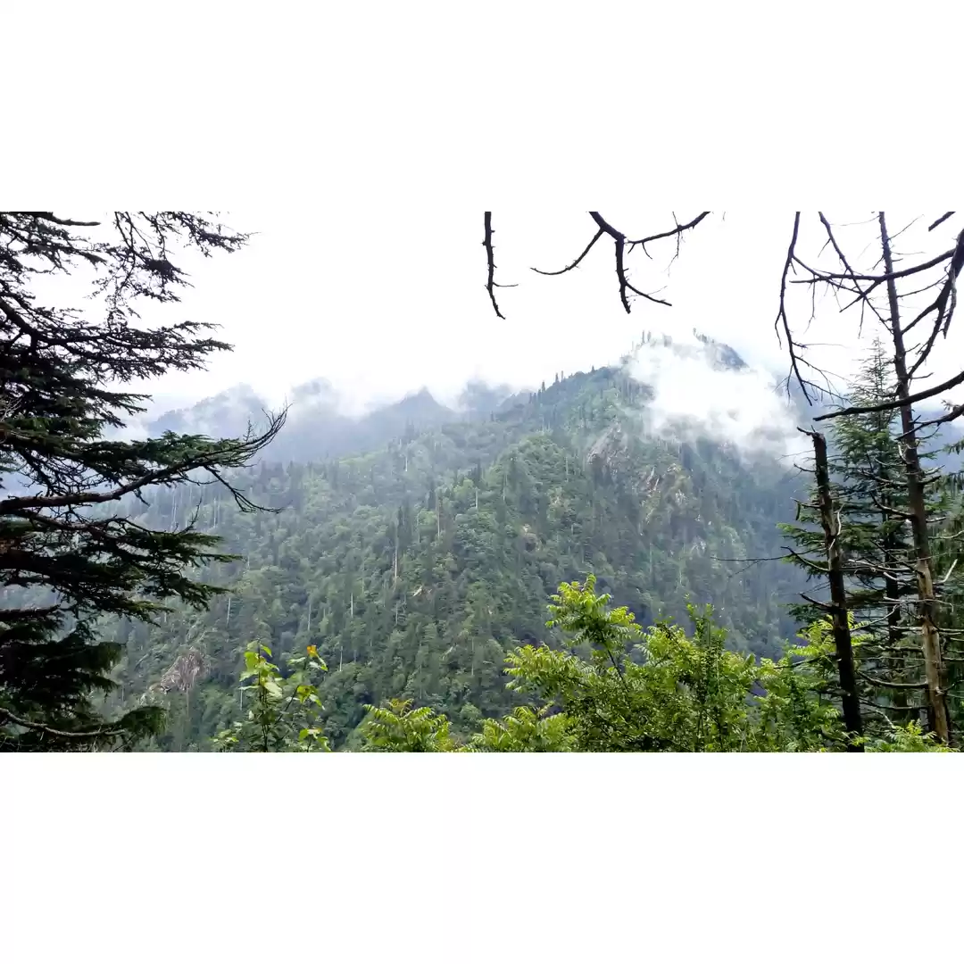 Photo of Shrikhand Mahadev Tr