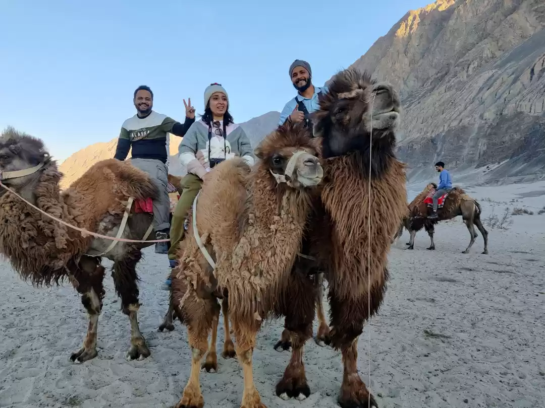 Photo of HUNDER NUBRA VALLEY