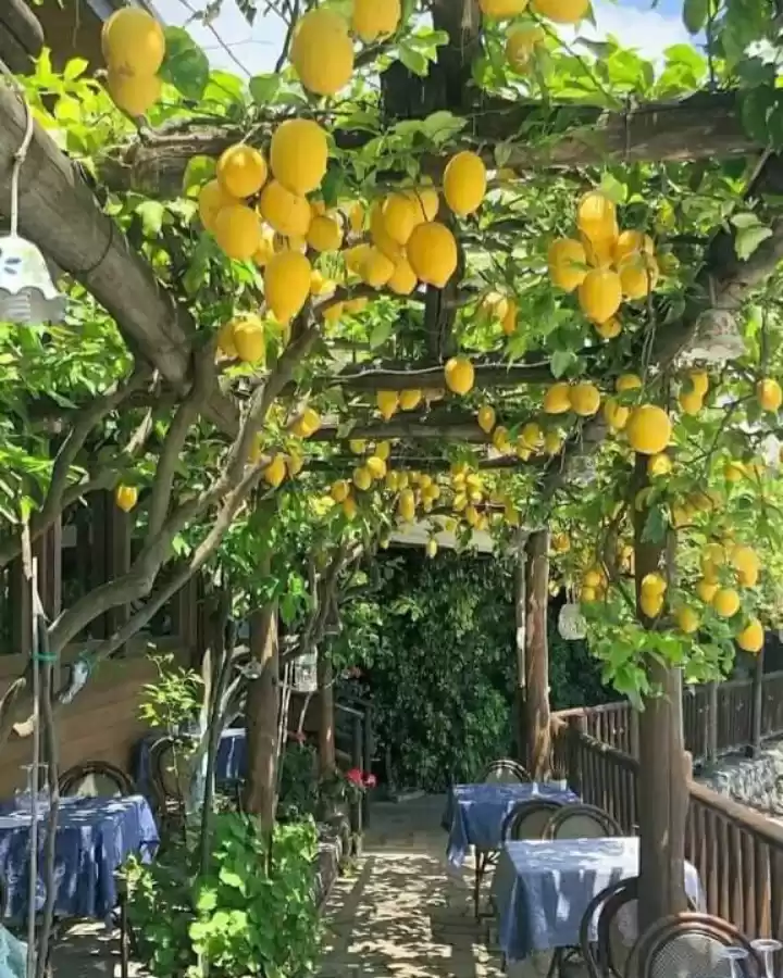 Photo of Around The World 🇬�