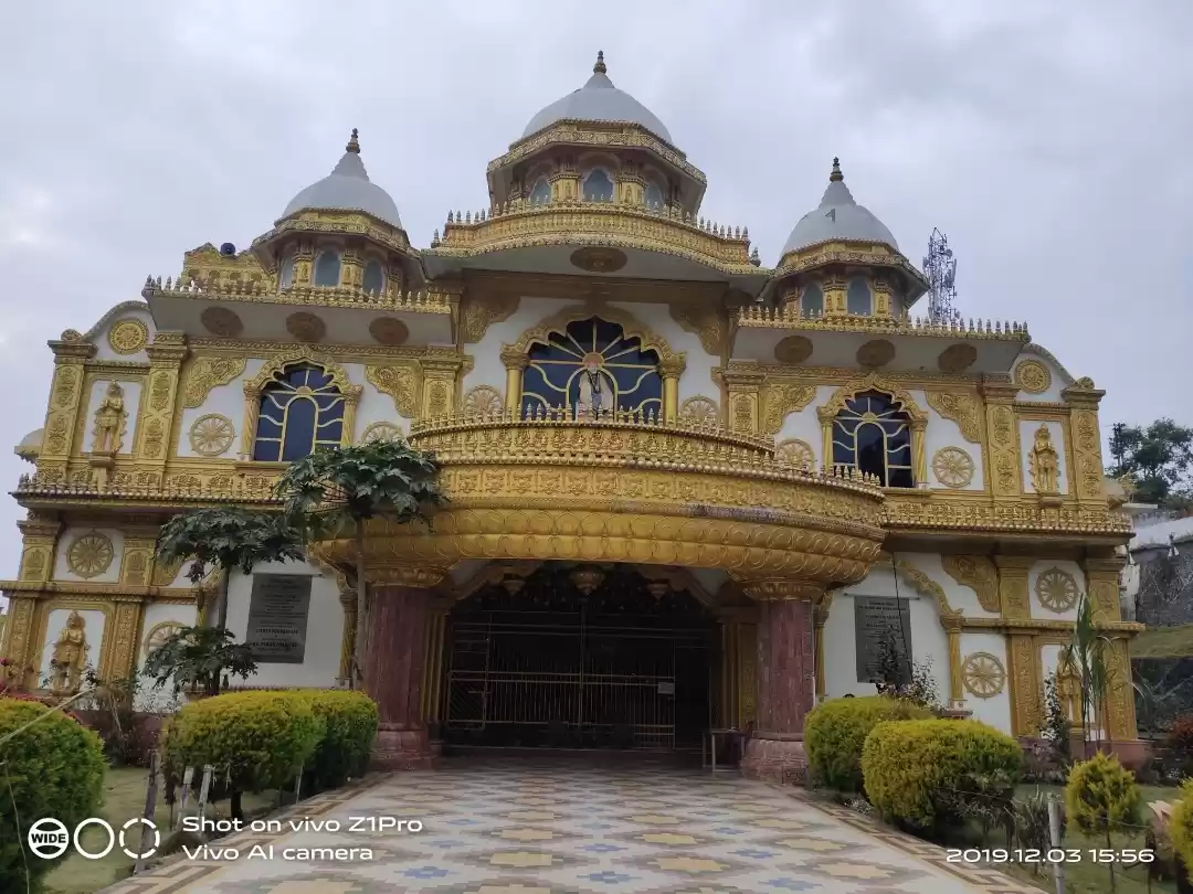 Photo of Beautiful golden Sai