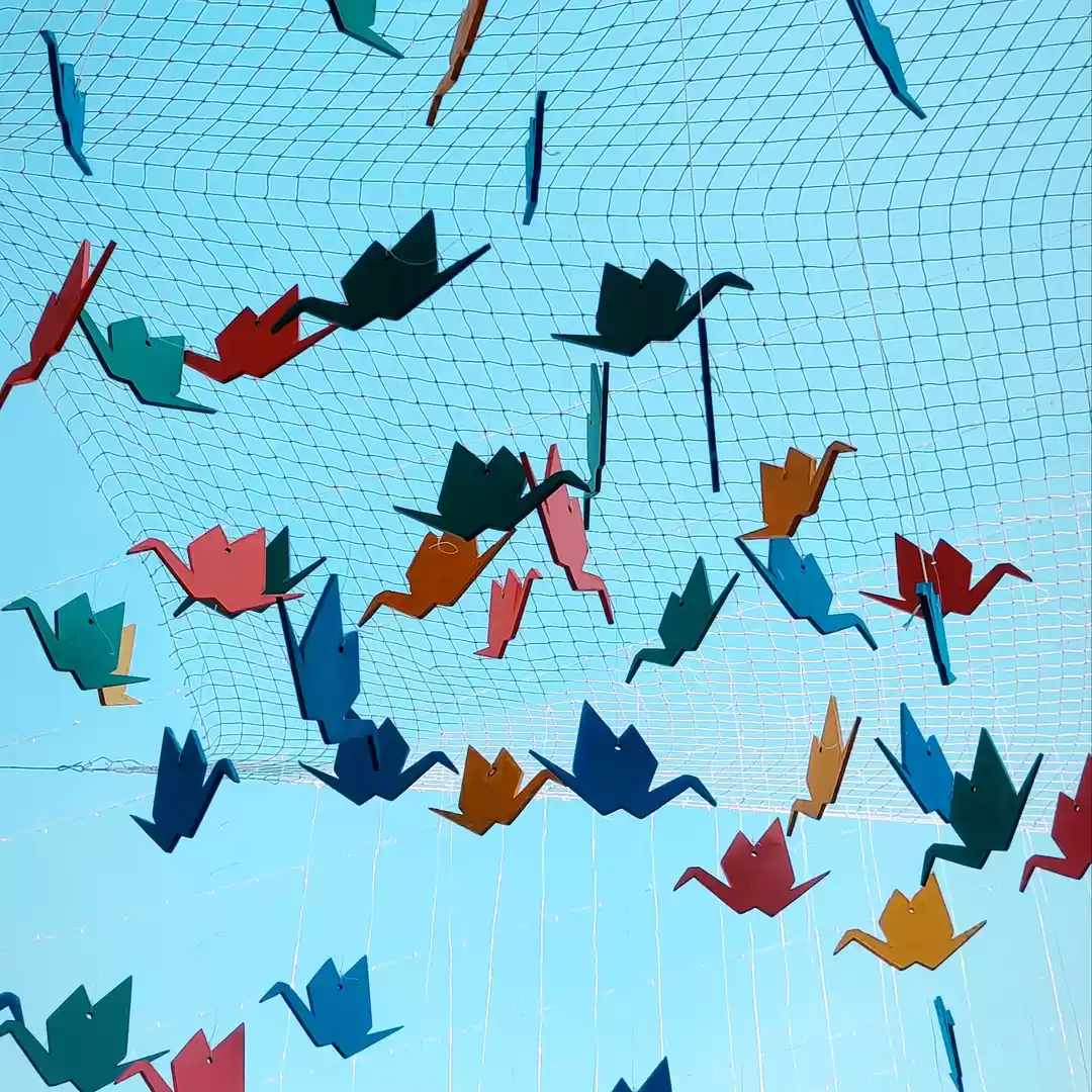 Photo of Tonk se jaipur aur j