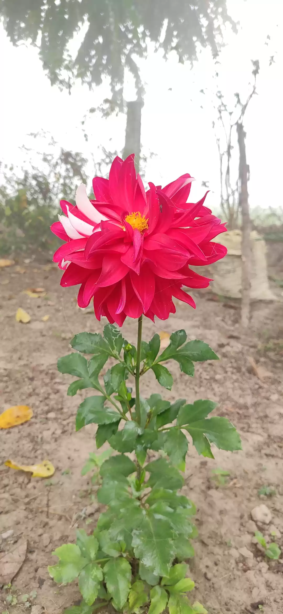 Photo of सकूं ए यात्रा 