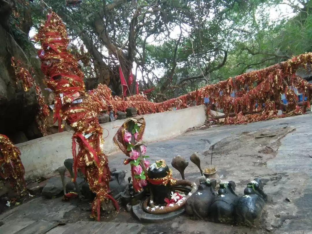 Photo of The five lingas whic