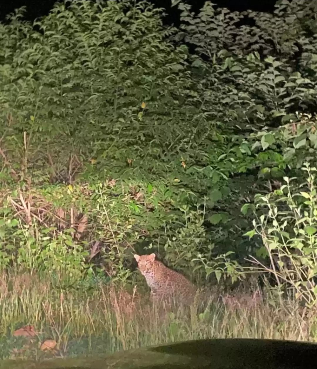 Photo of Full of #wildlife an
