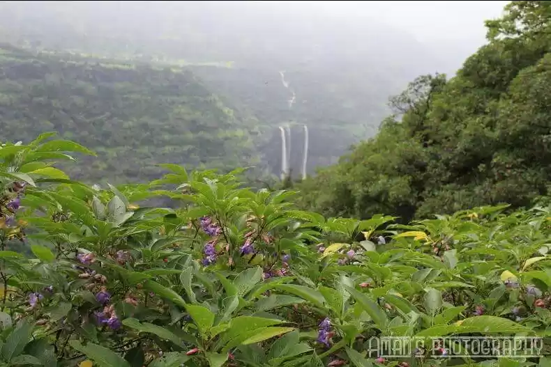 Photo of Trek to Rajmachi for