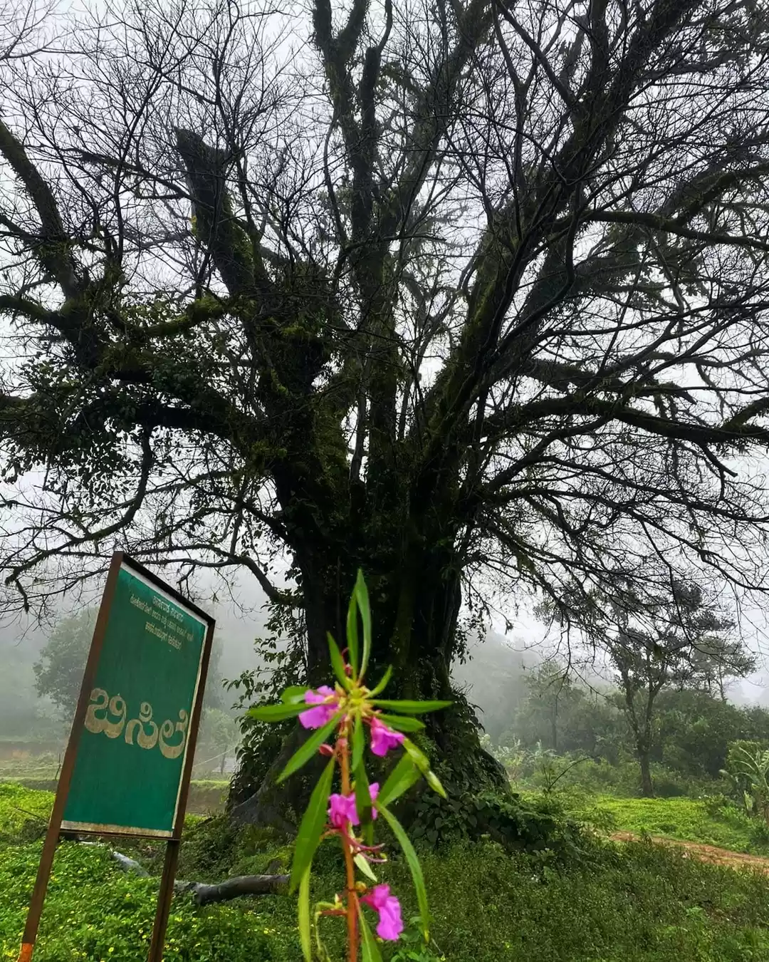Photo of Heaven in Karnataka 