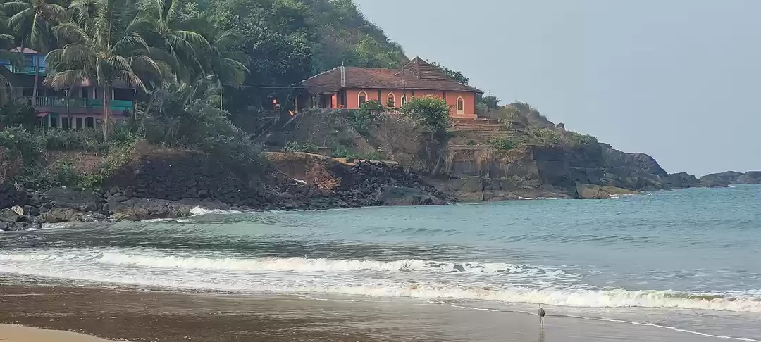 Photo of Mumbai to Bengaluru