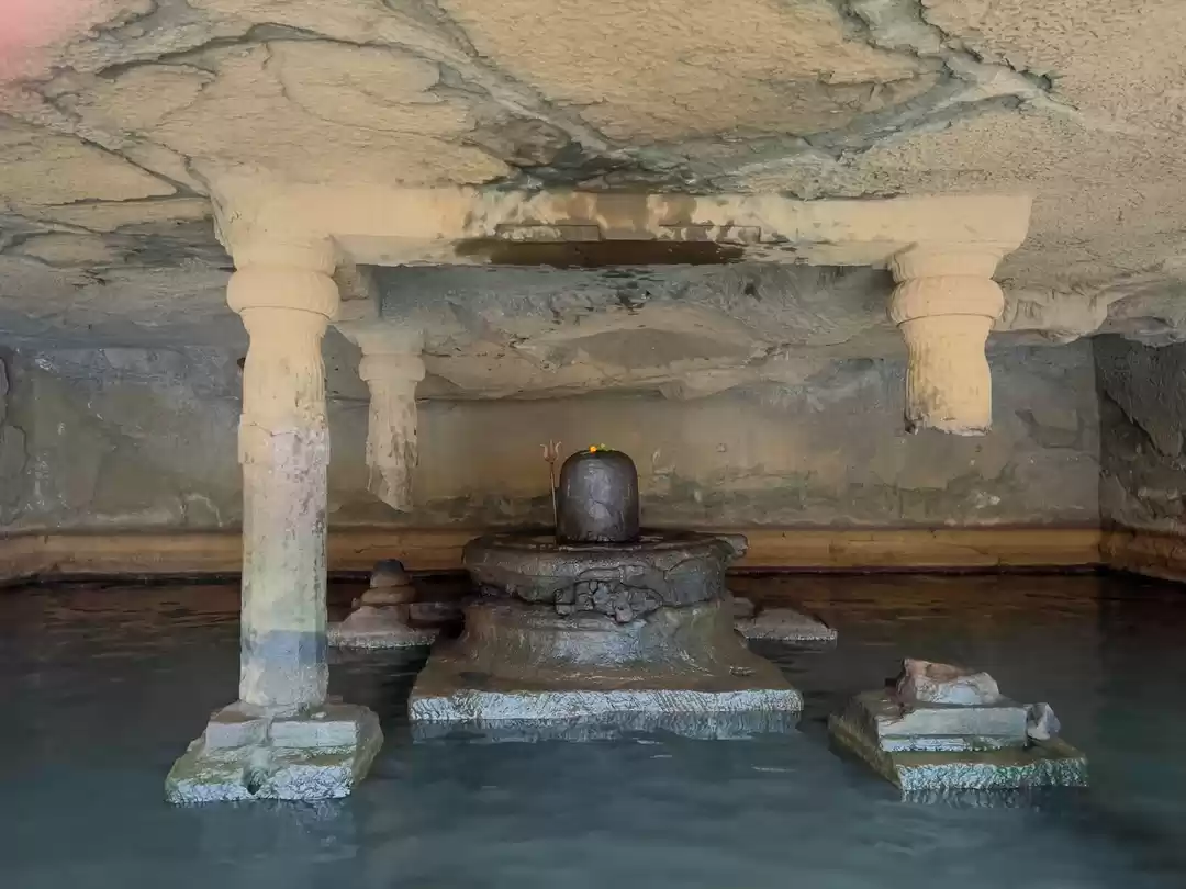 Photo of Mahadev.Maharshtra j