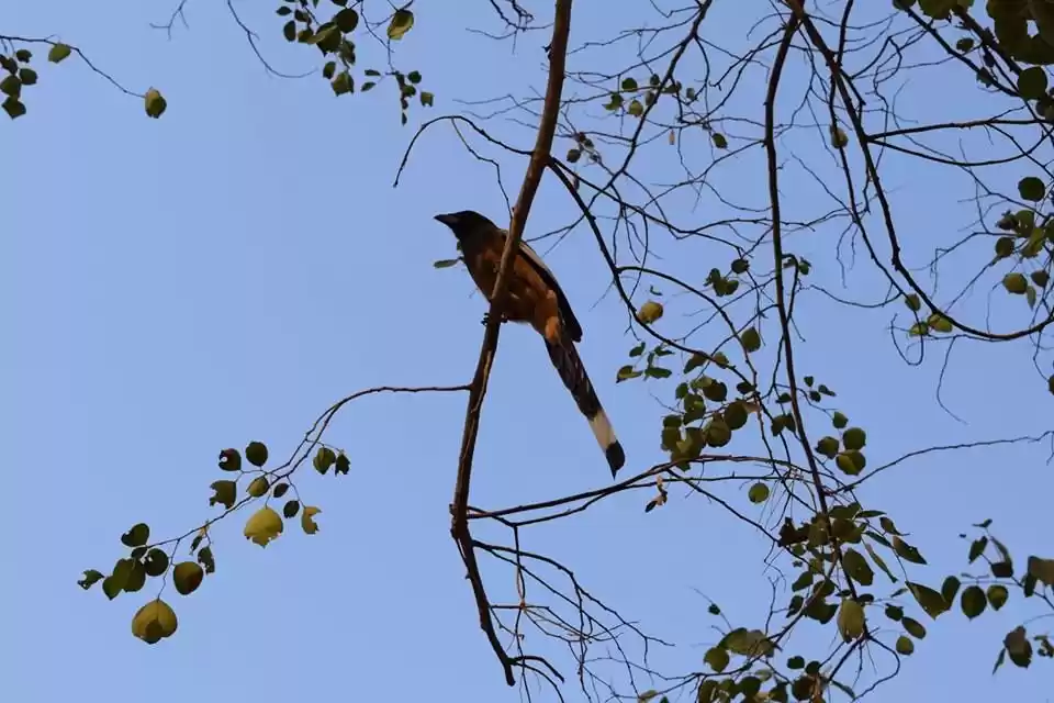 Photo of Weekend Trip To Sari