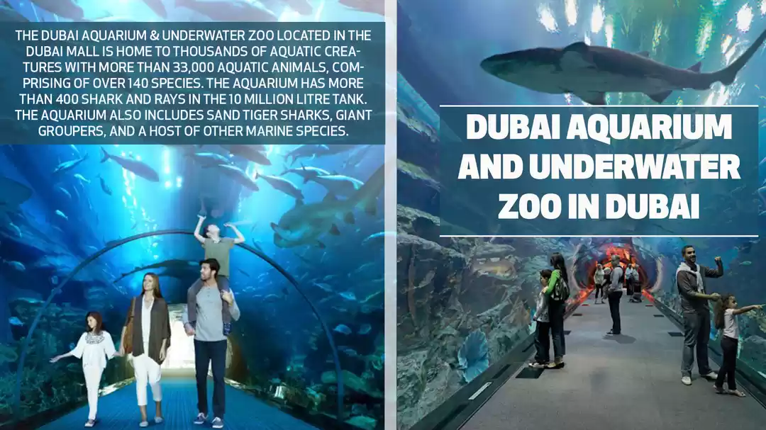 Photo of Arif Patel | Dubai A