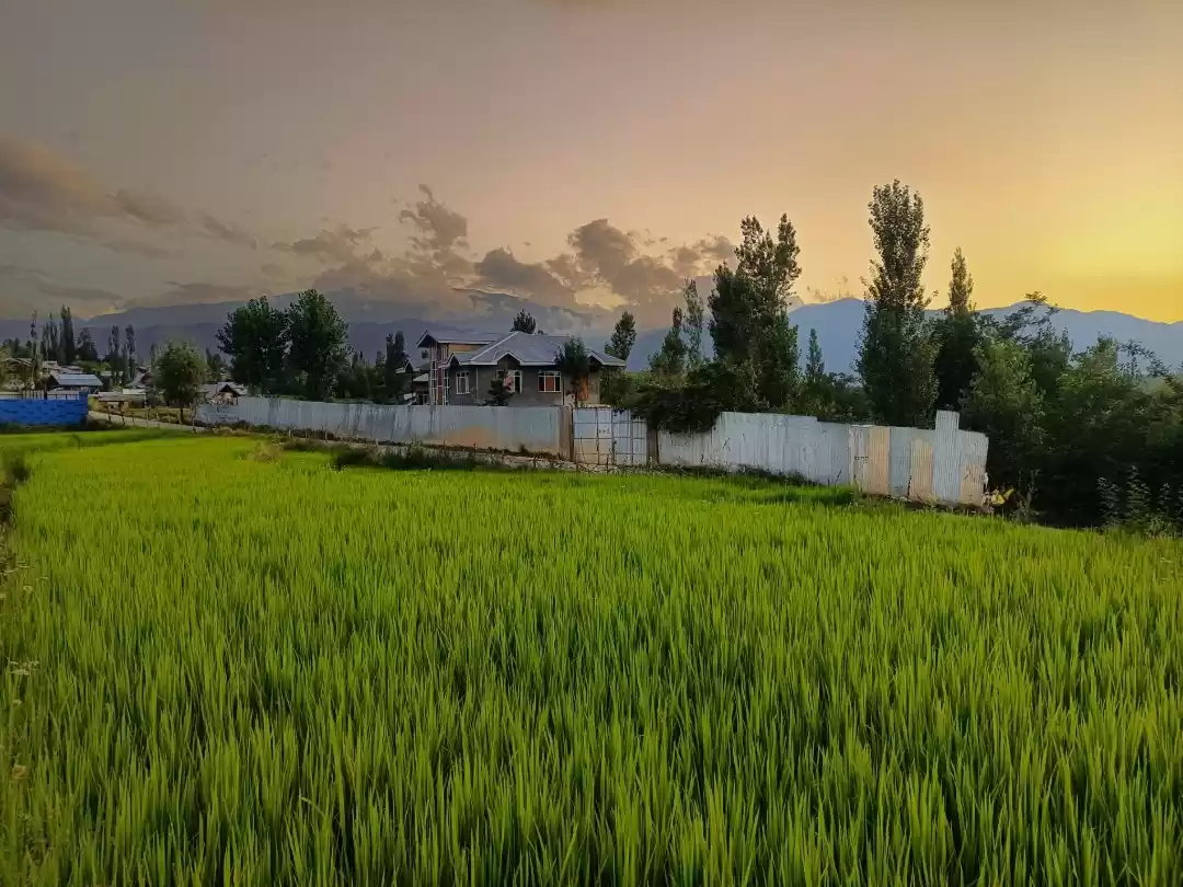 Photo of Sunset point 