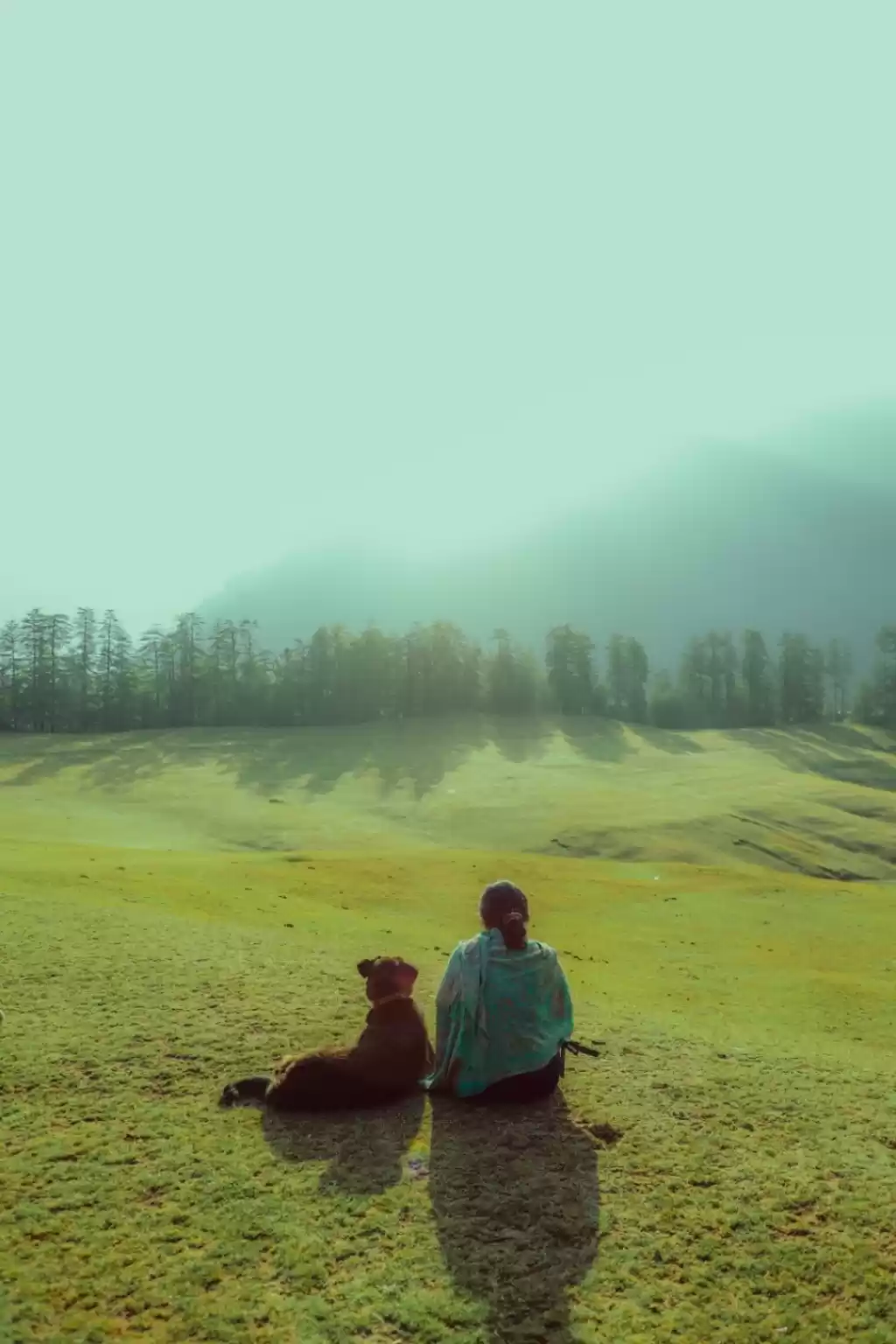 Photo of To the "Valley of Go