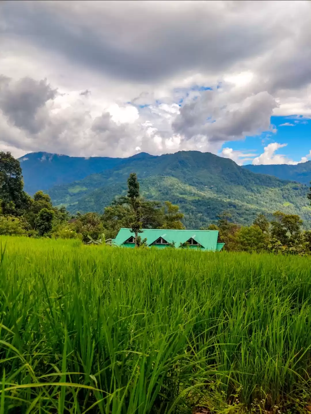 Photo of Staycation in Kalimp