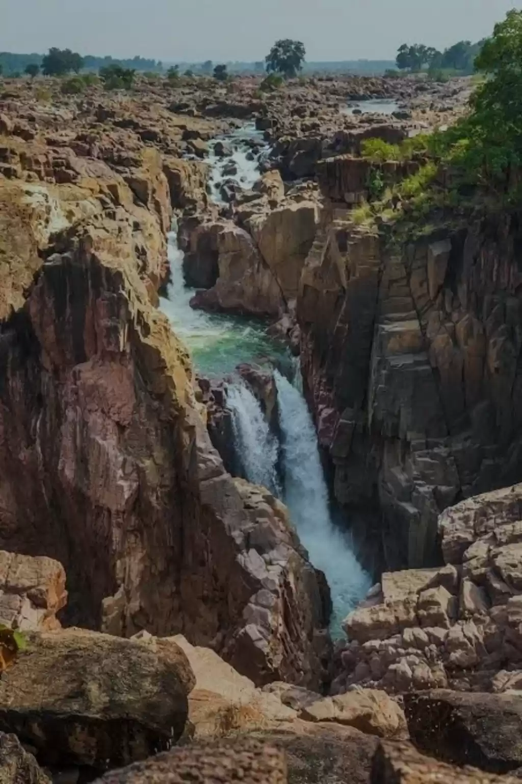 Photo of Beauty of India- Ran