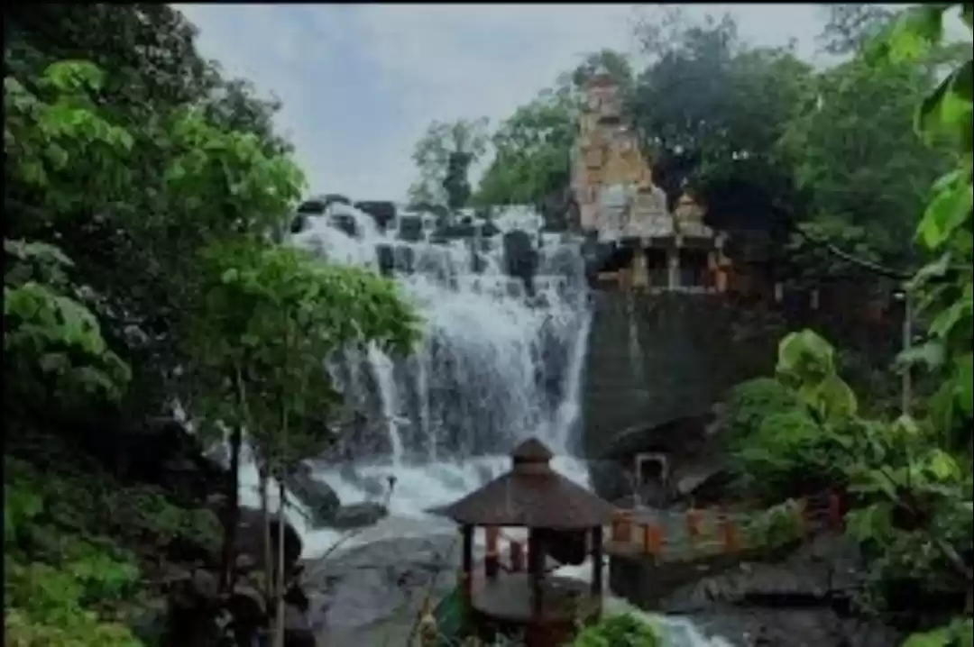 Photo of Jatmai - Ghatarani T