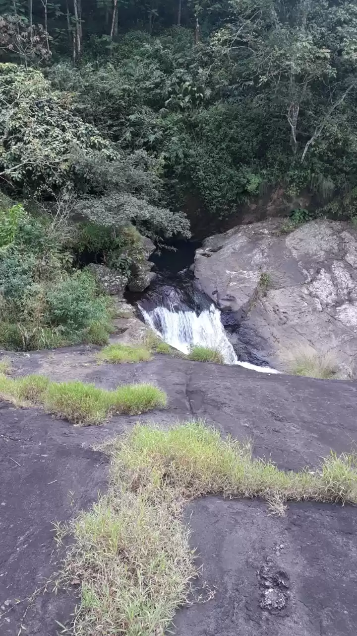 Photo of Kattikayam Waterfall