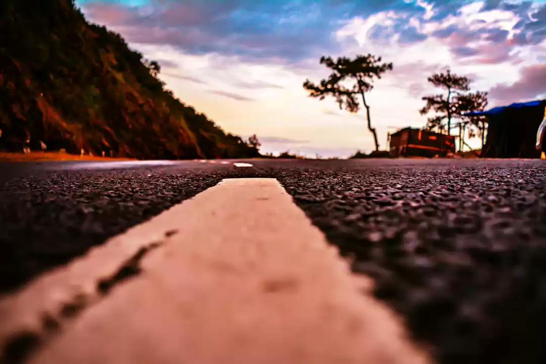 Photo of Scintillating North