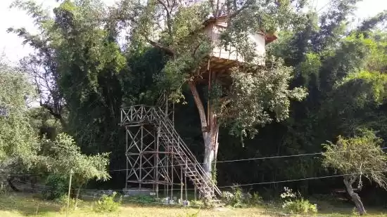 Photo of A Tree House Experie