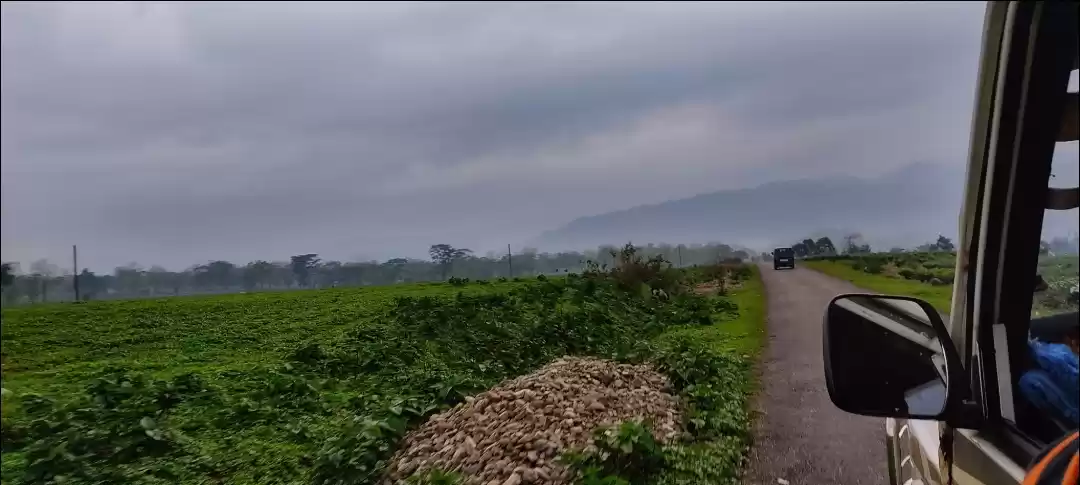 Photo of Dooars Diaries ❤ 