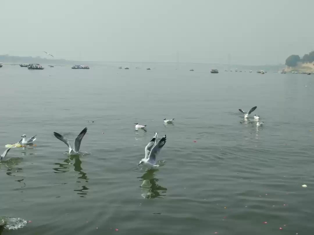 Photo of Triveni Sangam at Al