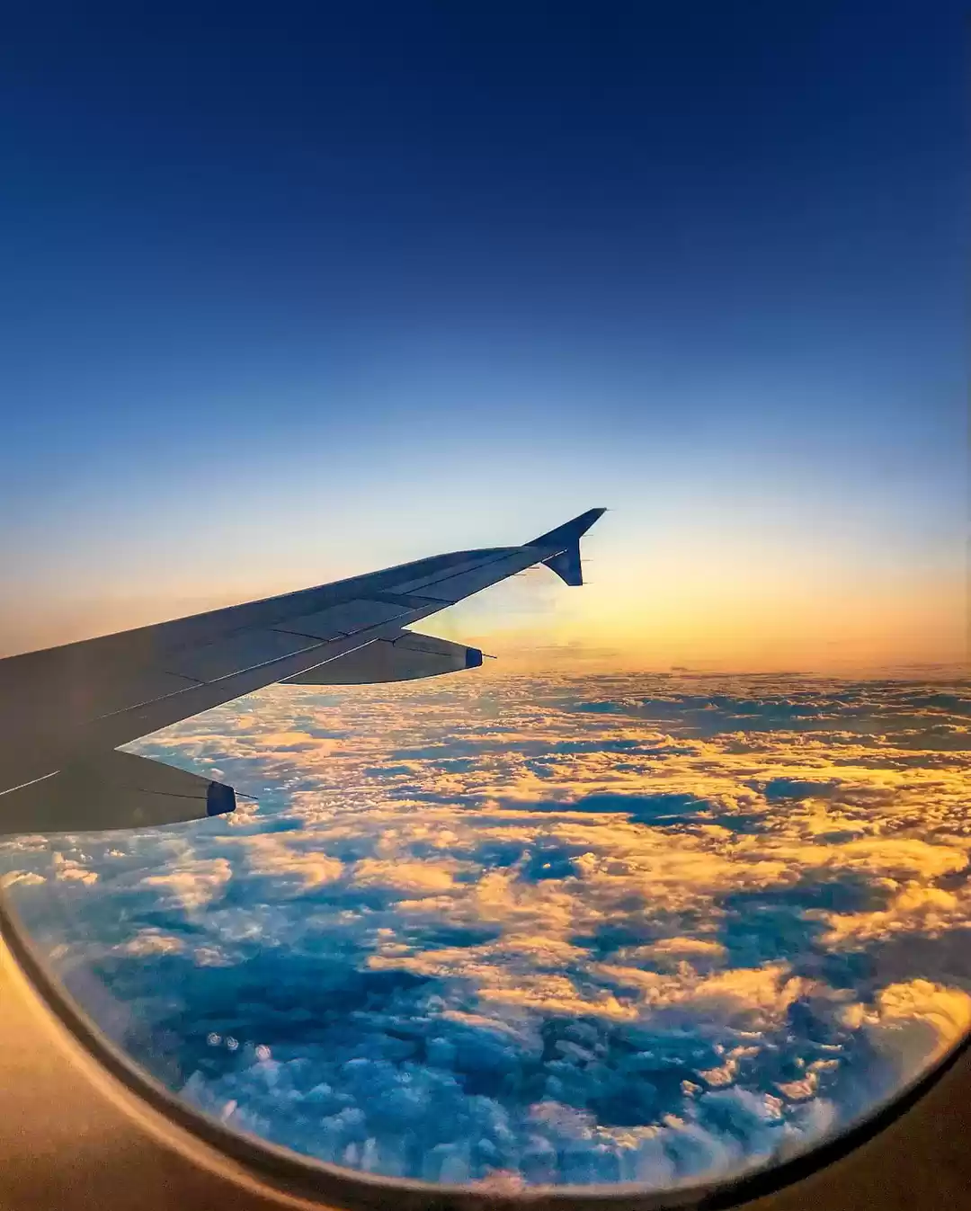 Photo of Where There’s A Wing