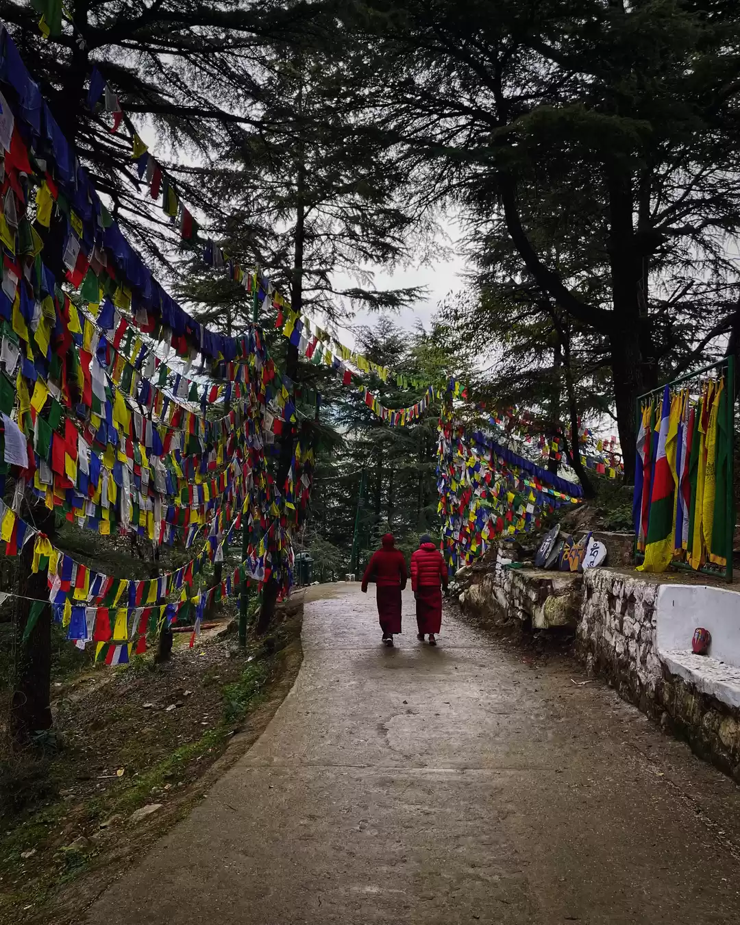 Photo of Kora Circuit- A Trek