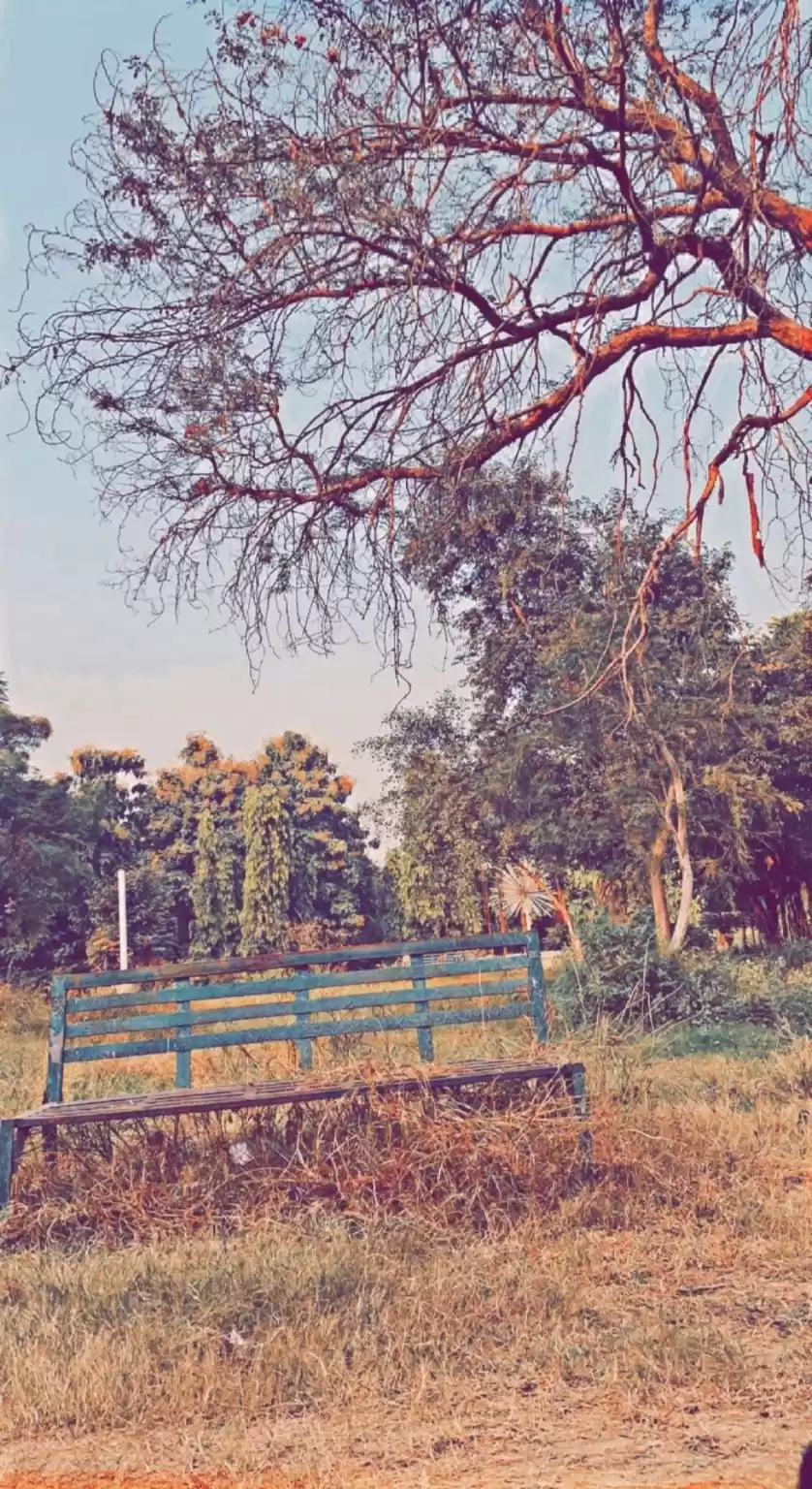 Photo of BOTANICAL GARDEN,PUN