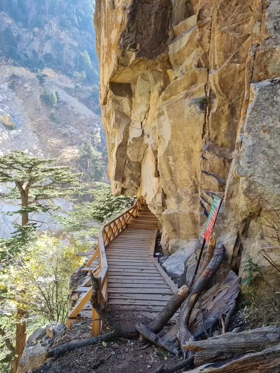Photo of Skywalk in Uttrakhan