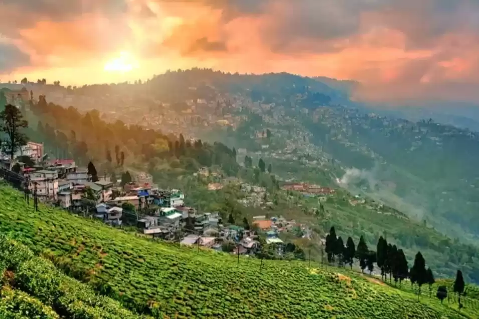 Photo of Darjeeling: The Mesm