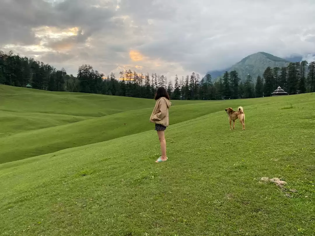 Photo of House of Stories, a