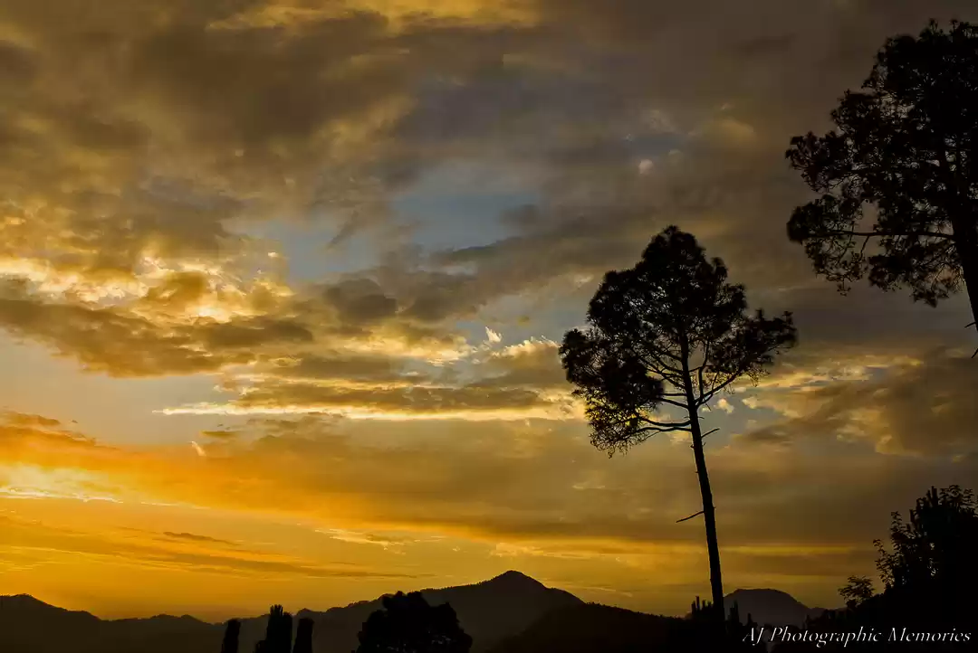 Photo of Valleys of Narkanda