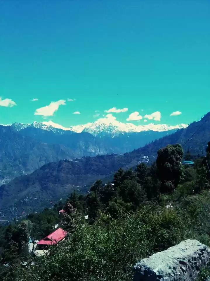 Photo of Sarahan, an exotic b