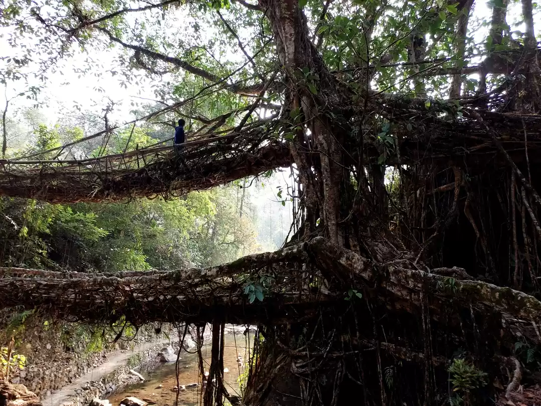 Photo of A Solo Backpackers T