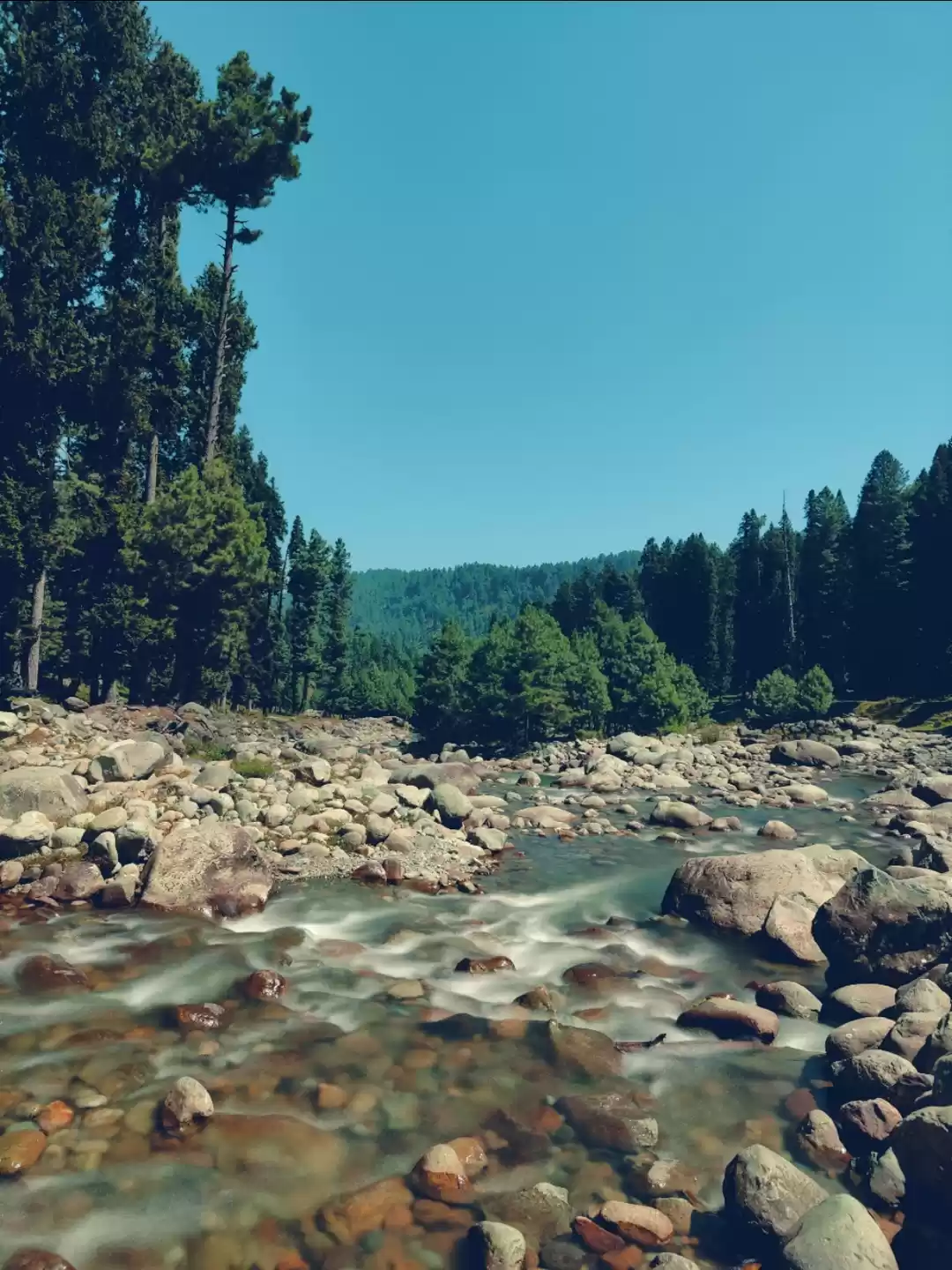 Photo of Yousmarg, J&K