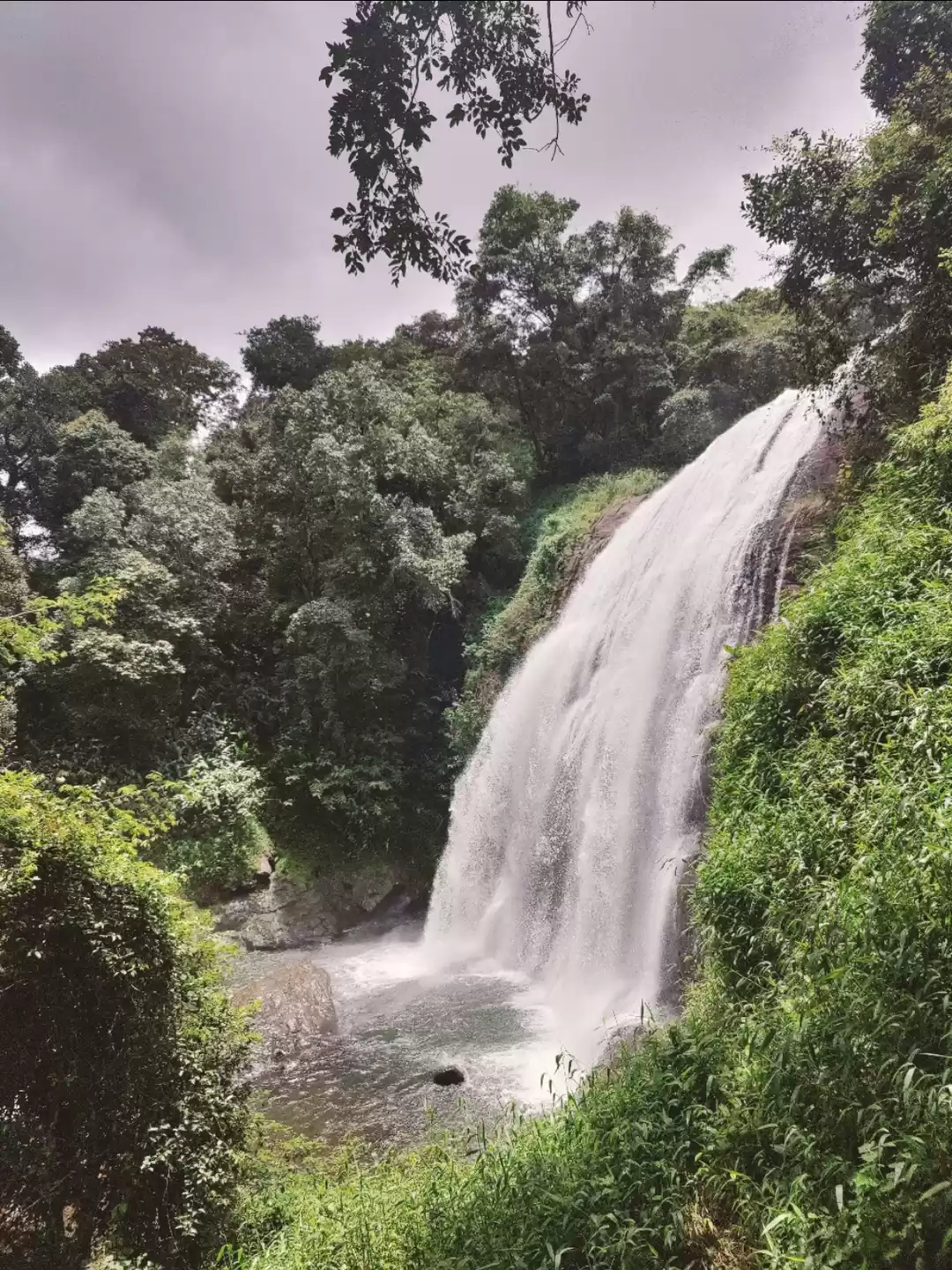 Photo of Virajpet, Coorg, KA
