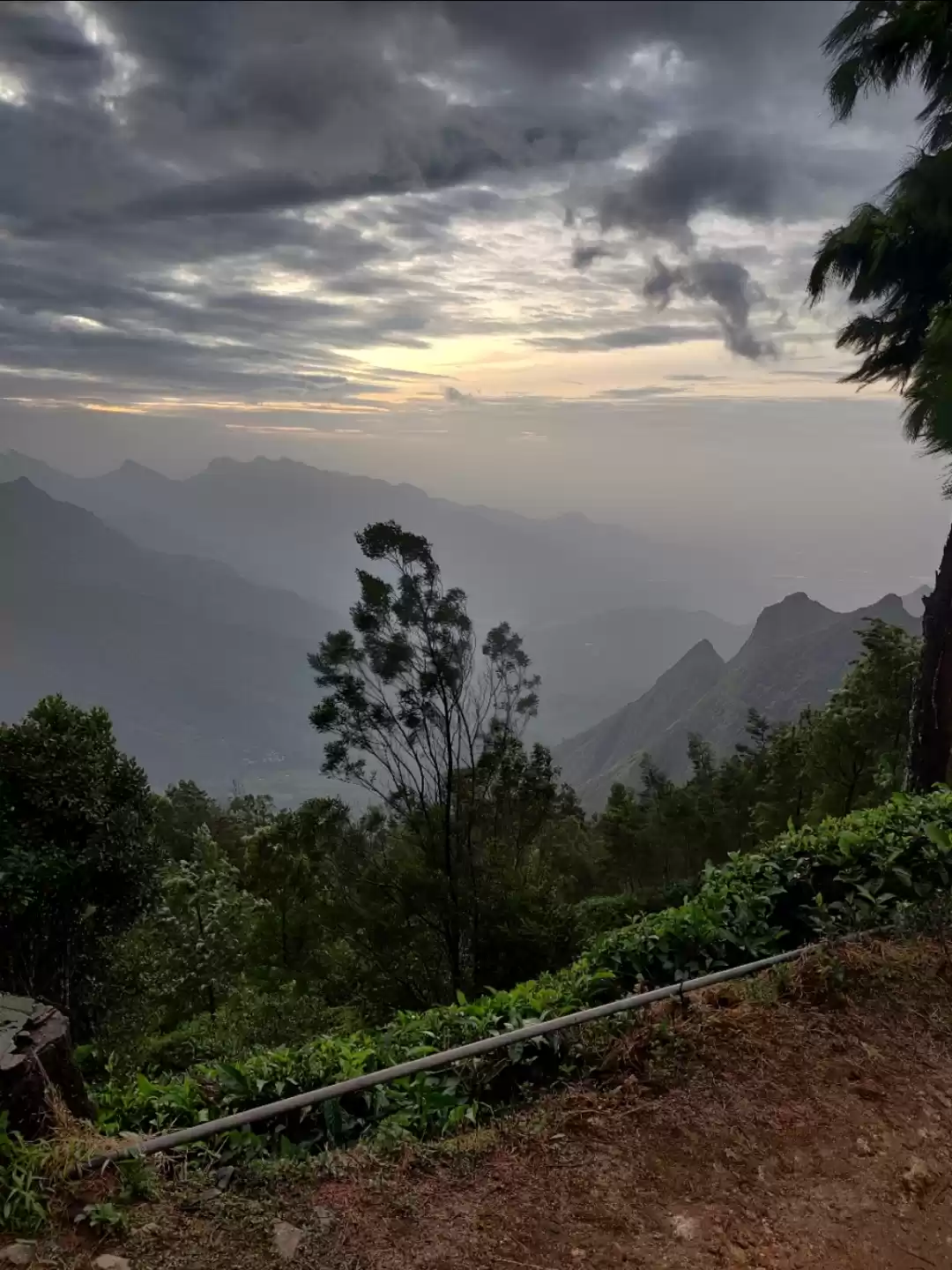 Photo of Kolukkumalai Sunrise