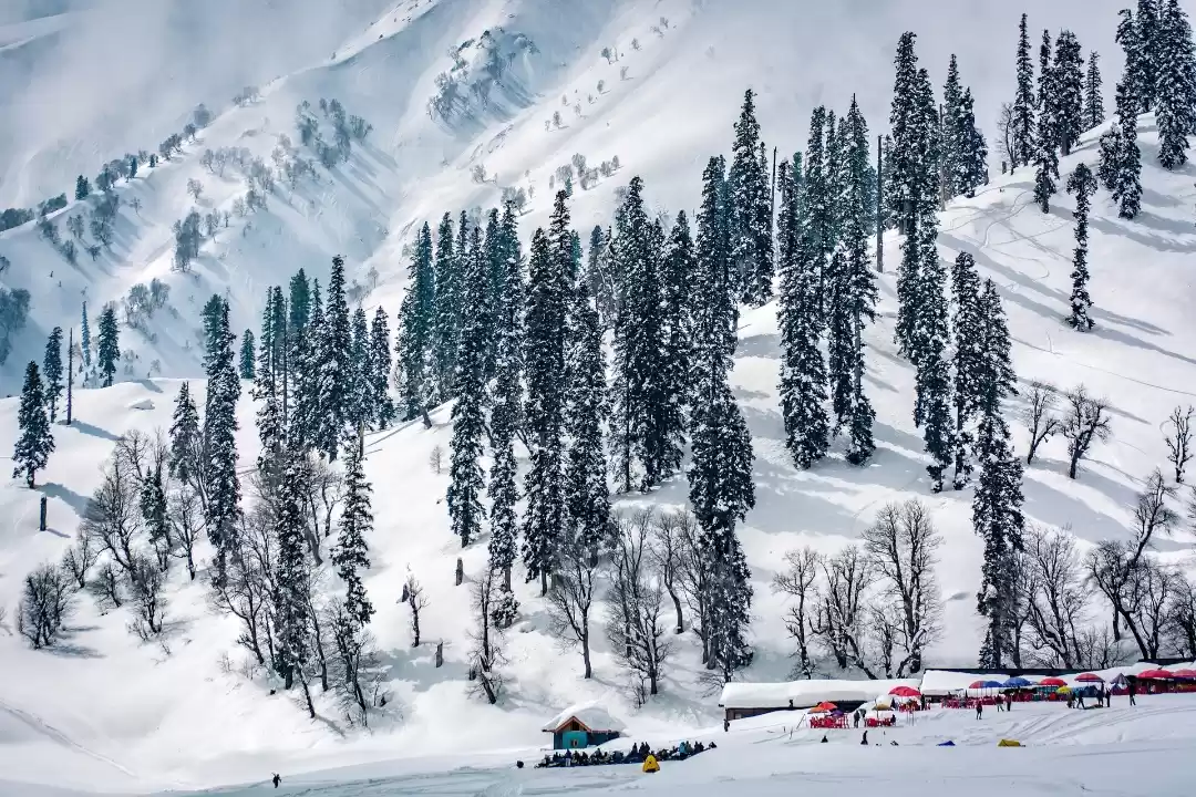 Photo of Gulmarg 
